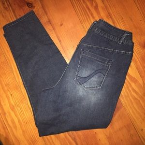 Lane Bryant Jegging